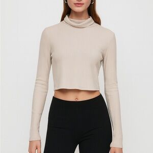 Aritzia Wilfred Free Ribbed Mock Neck Crop Top Sweater